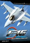 F-16 Multirole Fighter(РУ/СНГ)Steam