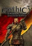 Gothic III: Forsaken Gods Enhanced Edit|(Глобал)Steam