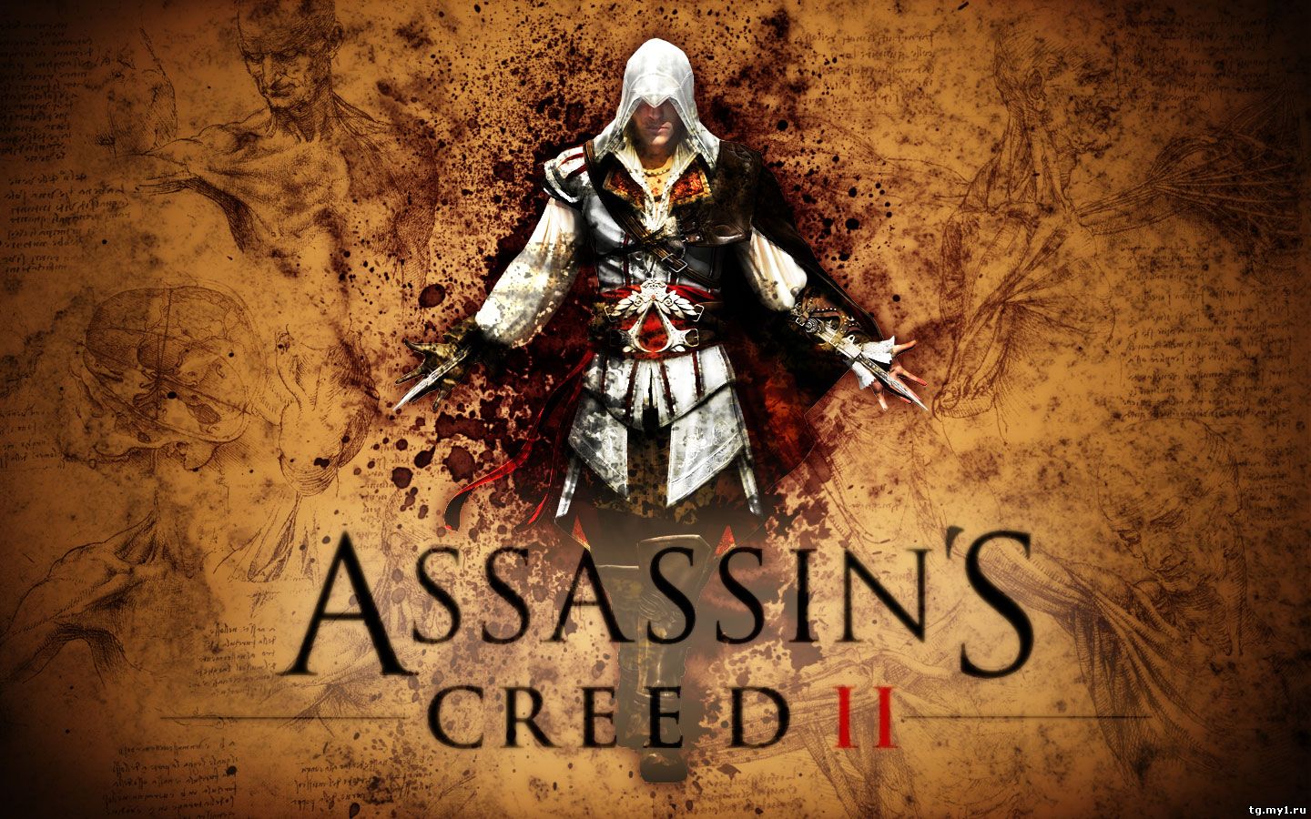 Assassin's Creed 2 UBI KEY RGION EU