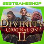  Divinity: Original Sin 2 - 100% Гарантия 