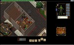Ultima online - Олмер онлайн Власть - изображение № 4