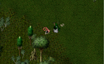 Ultima online - Олмер онлайн 