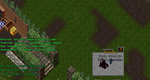 Ultima online - Олмер онлайн 