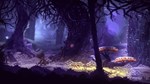 INDIE BUNDLE: SHINESS AND SEASONS AFTER FALLXBOX  - изображение № 6