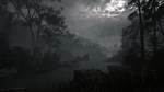 STRAY SOULSСРАЗУXBOX ONE/X|SКЛЮЧ - изображение № 2