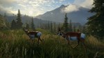 THEHUNTER: CALL OF THE WILD - MASTER BUNDLEXBOXКЛЮЧ - изображение № 3