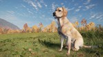 THEHUNTER: CALL OF THE WILD - LABRADOR RETRIEVERXBOX