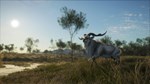 THEHUNTER: CALL OF THE WILD - AUSTRALIAXBOXКЛЮЧ - изображение № 9