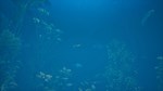 BASSMASTER FISHING 2022: LAKE HARTWELLXBOX+ПК КЛЮЧ - изображение № 4
