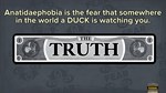FIBBAGE: THE HILARIOUS BLUFFING PARTY GAMEXBOX  - изображение № 3