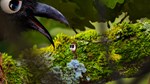 ANTVENTOR(PC WIN)КЛЮЧ