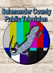 SALAMANDER COUNTY PUBLIC TELEVISIONXBOX ONE/X|SКЛЮЧ
