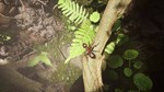 EMPIRE OF THE ANTSXBOX X|SКЛЮЧ СРАЗУ