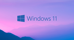 Windows 11 Home Warranty/Microsoft Partner