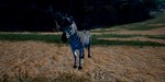 Animalia Haloween Pack DLC * STEAM RU  АВТО 0% - изображение № 4