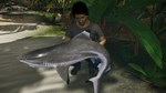 Ultimate Fishing Simulator 2 * STEAM RU  АВТО 0% - изображение № 3