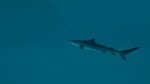 Ultimate Fishing Simulator 2 * STEAM RU  АВТО 0% - изображение № 8