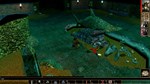 Neverwinter Nights - Pirates of the Sword Coast Premium - изображение № 3