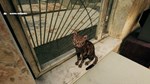 G.O.P.O.T.A * STEAM РОССИЯ  АВТОДОСТАВКА 0% КАРТЫ - изображение № 3