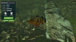 Ultimate Fishing Simulator - Aquarium DLC * STEAM RU  - изображение № 6
