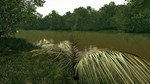 Ultimate Fishing Simulator - Amazon River DLC - изображение № 7