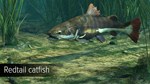 Ultimate Fishing Simulator - Amazon River DLC - изображение № 4