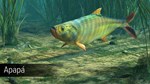 Ultimate Fishing Simulator - Amazon River DLC - изображение № 8