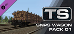 TS Marketplace: Snps Wagon Pack 01 DLC * STEAM RU 