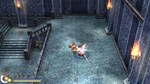 Ys Origin * STEAM РОССИЯ  АВТОДОСТАВКА 0% КАРТЫ - изображение № 5