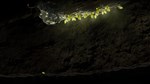 Seedlings * STEAM РОССИЯ  АВТОДОСТАВКА 0% КАРТЫ - изображение № 8
