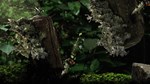 Seedlings * STEAM РОССИЯ  АВТОДОСТАВКА 0% КАРТЫ - изображение № 5