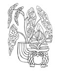 Plant Therapy Coloring Book DLC * STEAM RU  АВТО 0% - изображение № 5