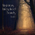 RPG Maker VX Ace - Mysterious Unresolved Sounds Vol.1 - изображение № 2
