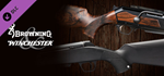 Browning & Winchester Pack DLC * STEAM RU  АВТО 0%