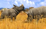 Wildlife Park 3 * STEAM RU  АВТО 0% - изображение № 8