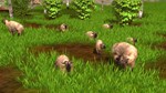 Wildlife Park 3 - Asia DLC * STEAM RU  АВТО 0% - изображение № 8