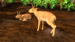 Wildlife Park 3 - Asia DLC * STEAM RU  АВТО 0% - изображение № 5