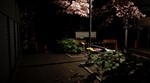 Midnight Prowl * STEAM RU  АВТО 0% - изображение № 5