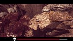 SOWON * STEAM РОССИЯ  АВТОДОСТАВКА 0% КАРТЫ - изображение № 3
