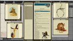 Fantasy Grounds - Pathfinder RPG - Campaign Setting: My - изображение № 3