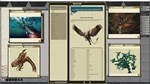 Fantasy Grounds - Pathfinder RPG - Campaign Setting: My - изображение № 4