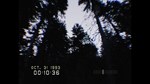 DON'T SCREAM * STEAM РОССИЯ  АВТОДОСТАВКА 0% КАРТЫ - изображение № 7