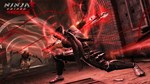 NINJA GAIDEN: Master Collection Deluxe Edition - изображение № 4