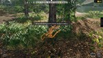 Aquascapers * STEAM РОССИЯ  АВТОДОСТАВКА 0% КАРТЫ - изображение № 7
