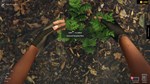 Aquascapers * STEAM РОССИЯ  АВТОДОСТАВКА 0% КАРТЫ - изображение № 8