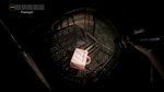PANICORE * STEAM РОССИЯ  АВТОДОСТАВКА 0% КАРТЫ - изображение № 4