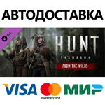 Hunt: Showdown - From the Wilds DLC * STEAM RU 
