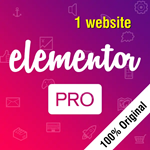 Оригинальная лицензия Elementor pro Установка 1 год