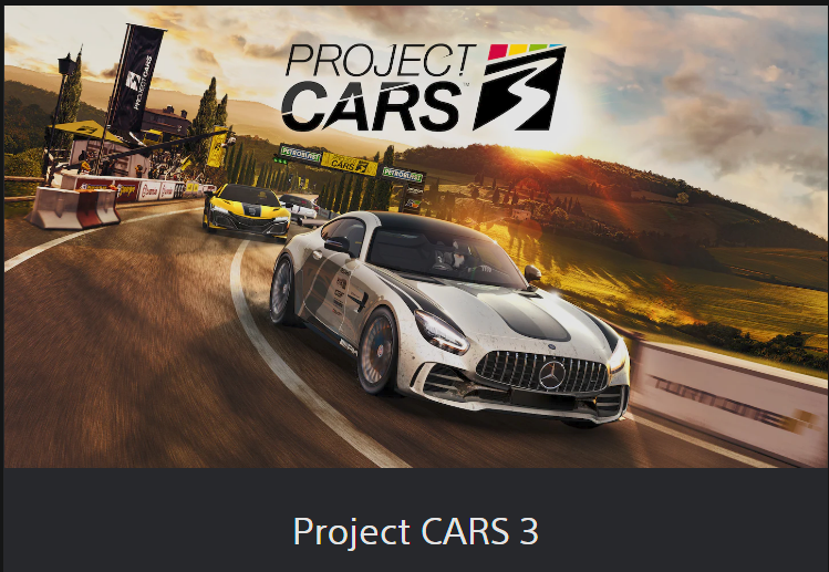 💥Project CARS 3 🔵 PS4 / PS5 🔴ТУРЦИЯ🔴