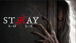 Stray Souls  PS5/PS4 TR